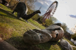 fallen-beasts-at-kulturpark-planterwald-spree-park-opened-in-1969-closed-2001-via-psfk
